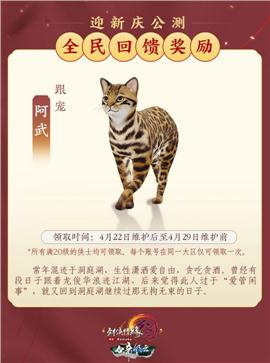 天龙八部私服内幕